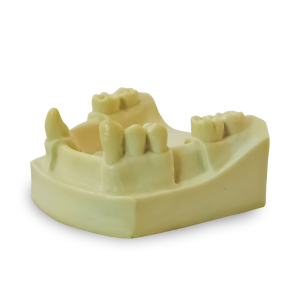 MANDÍBULA COM AUSÊNCIAS PARCIAIS - DENTES 31, 32, 36, 41, 42, 44, 45 e 46 - cód. 4701