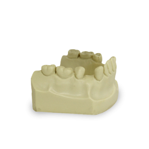 MANDÍBULA DO MANEQUIM BÁSICO ARTICULADA MÁ OCLUSÃO - cód. 4038I