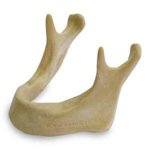 MANDÍBULA EDÊNTULA EXTRA DURA - cód. 4010D